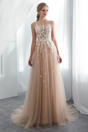 Champagne Tulle Wedding Dresses with Illusion Lace Top